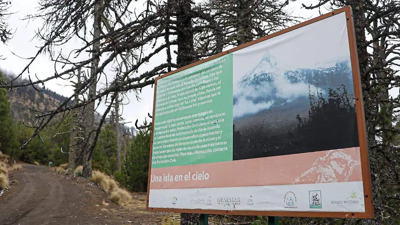Nevado de Colima 